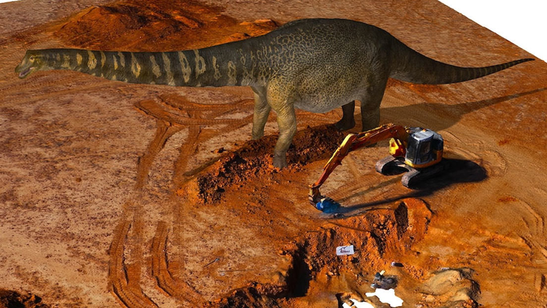 Discover the remains of the largest dinosaur in Australia and one of the largest dinosaurs in the world