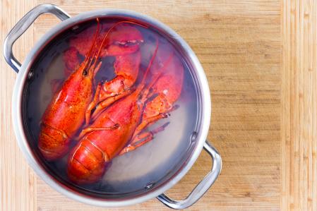 Boiled lobsters.