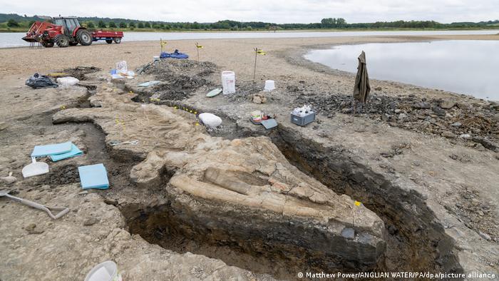 The skeleton of an ichthyosaur was found in the Rutland Nature Reserve.